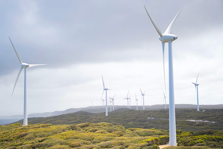Wind turbines in the landscape